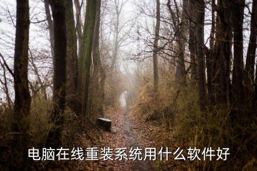 电脑在线重装系统用什么软件好
