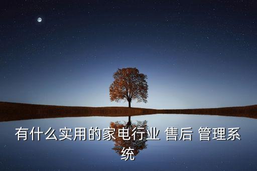 钢琴售后维修管理系统软件,手机售后维修管理系统