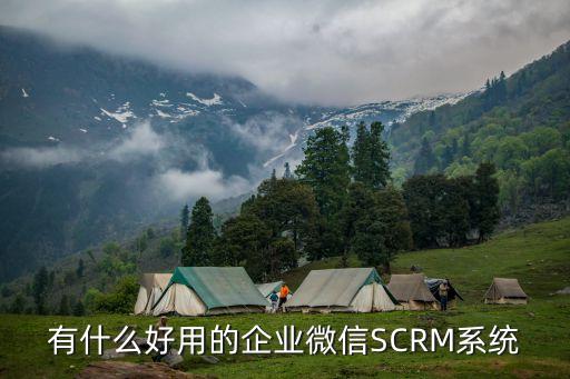 有什么好用的企业微信SCRM系统