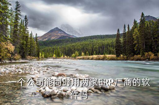 一个公司能同时用两家ERP厂商的软件吗