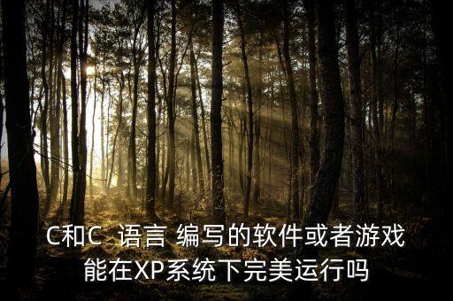 C和C  语言 编写的软件或者游戏能在XP系统下完美运行吗