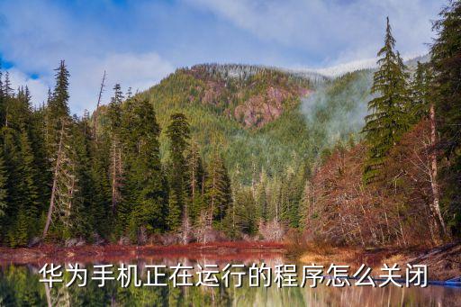 华为系统软件怎么关,华为变iphone系统软件