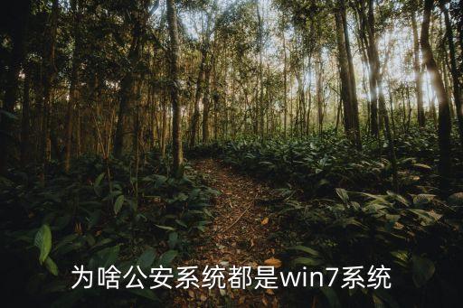 为啥公安系统都是win7系统