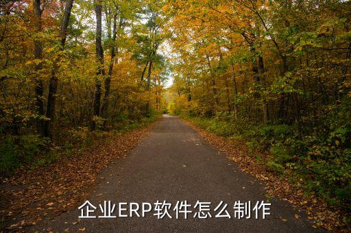 企业ERP软件怎么制作