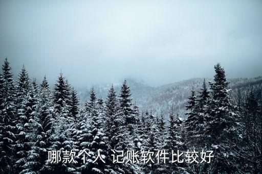 会员手动记账系统软件,个体户记账系统软件有哪些