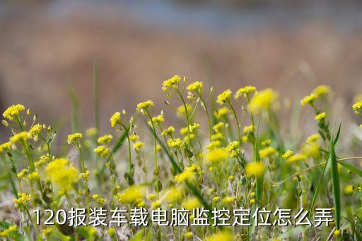  120报装车载电脑监控定位怎么弄