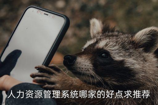 人力资源管理系统哪家的好点求推荐