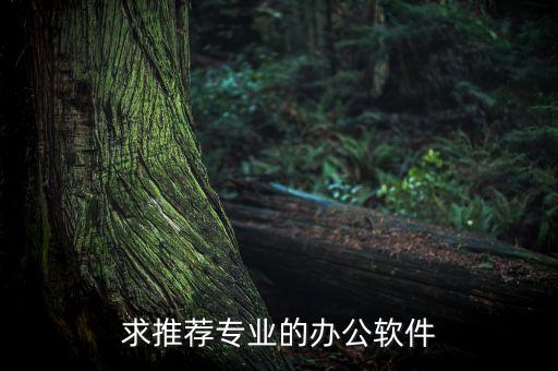求推荐专业的办公软件
