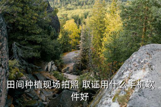 取证系统软件哪个好用点,手机取证系统软件