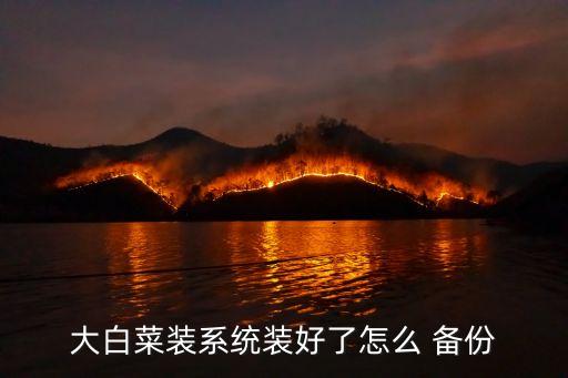 大白菜装系统装好了怎么 备份