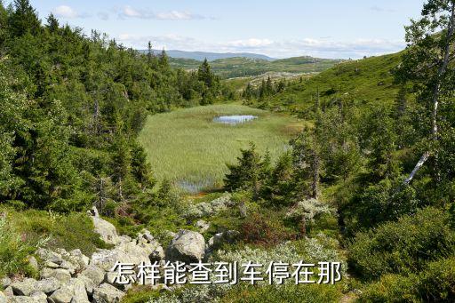 怎样能查到车停在那