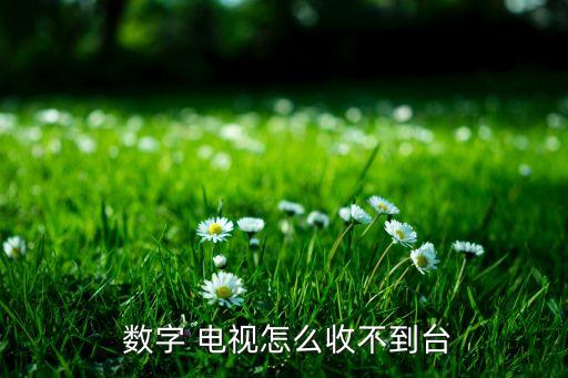  数字 电视怎么收不到台