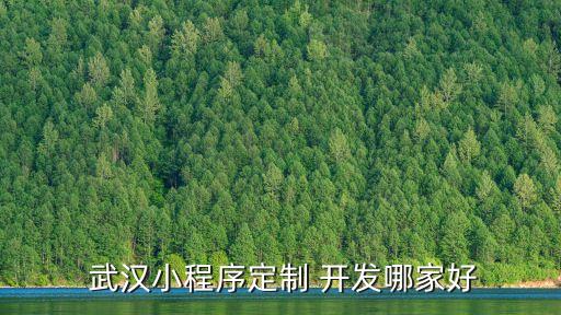  武汉小程序定制 开发哪家好