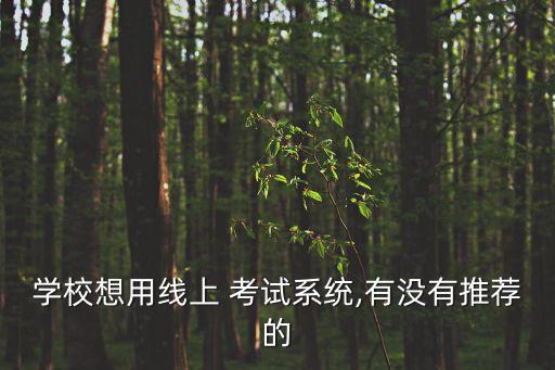 高中知识考试系统软件