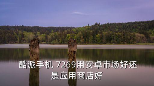  酷派手机 7269用安卓市场好还是应用商店好
