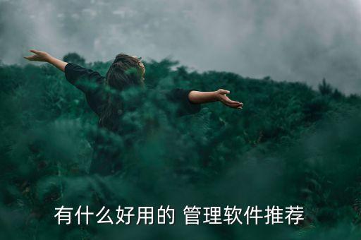 有什么好用的 管理软件推荐