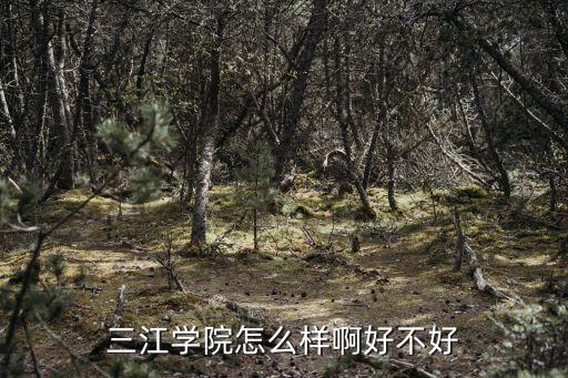 三江学院怎么样啊好不好