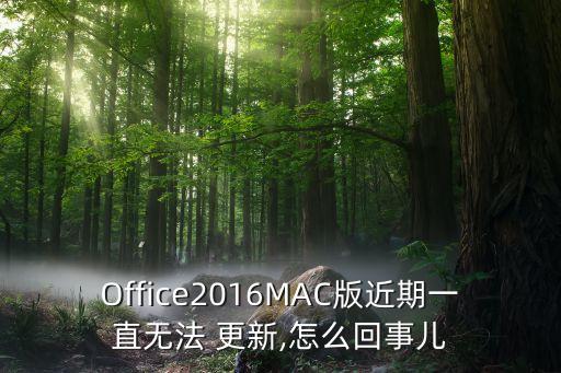 Office2016MAC版近期一直无法 更新,怎么回事儿