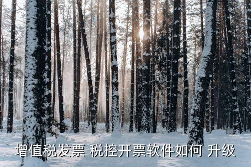 增值税发票 税控开票软件如何 升级
