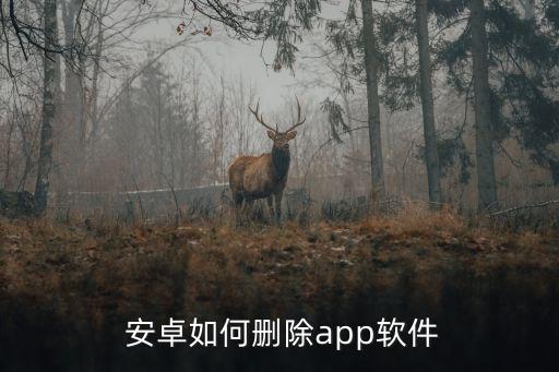  安卓如何删除app软件