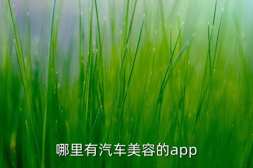 哪里有汽车美容的app