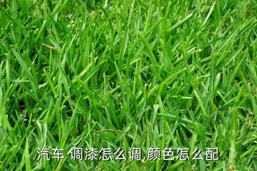 汽车 调漆怎么调,颜色怎么配