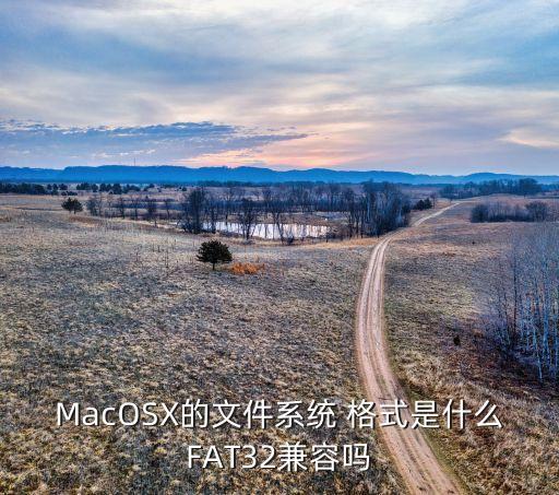 MacOSX的文件系统 格式是什么FAT32兼容吗