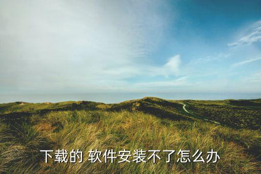 下载的 软件安装不了怎么办