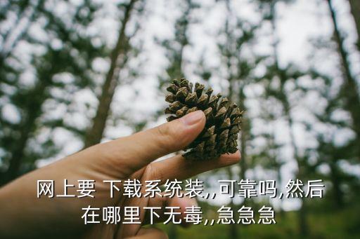 网上要 下载系统装,,可靠吗,然后在哪里下无毒,,急急急