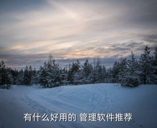 有什么好用的 管理软件推荐