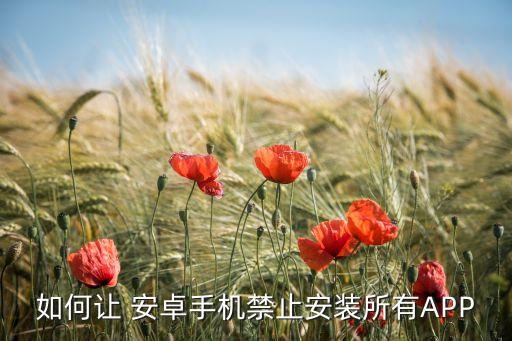 如何让 安卓手机禁止安装所有APP