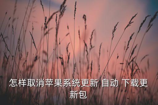 怎样取消苹果系统更新 自动 下载更新包