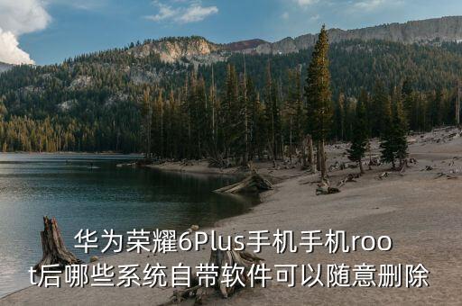华为删掉系统软件可以吗,华为手机如何删掉系统软件