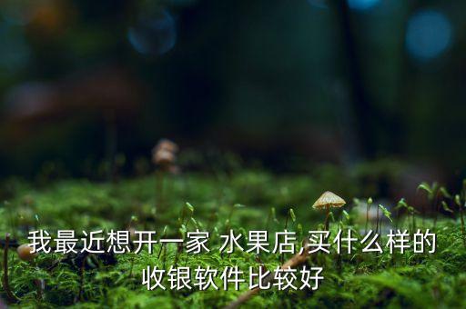 我最近想开一家 水果店,买什么样的收银软件比较好