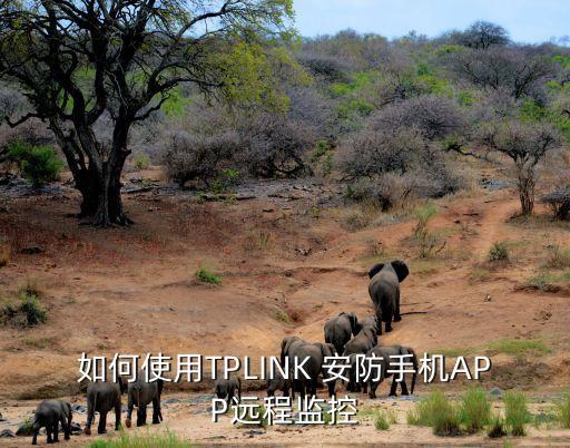 如何使用TPLINK 安防手机APP远程监控