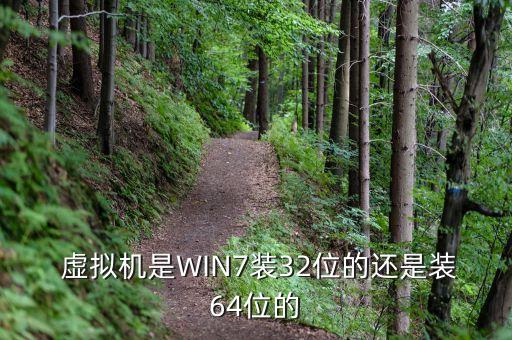  虚拟机是WIN7装32位的还是装64位的