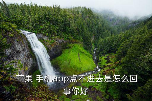 苹果手机系统软件点不开