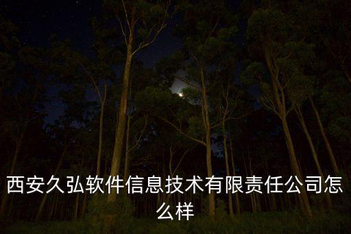 西安久弘软件信息技术有限责任公司怎么样