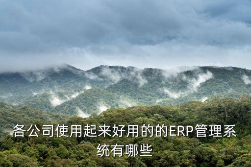 各公司使用起来好用的的ERP管理系统有哪些