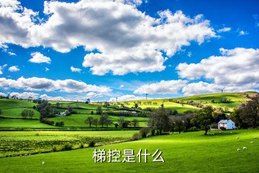 电梯管理信息化系统软件,迈高电梯用的什么系统软件