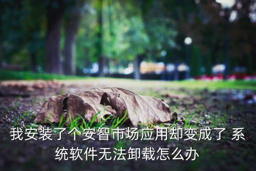 我安装了个安智市场应用却变成了 系统软件无法卸载怎么办