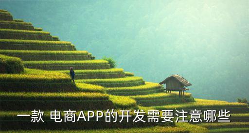 电商app属于系统软件程序,app电商平台排名