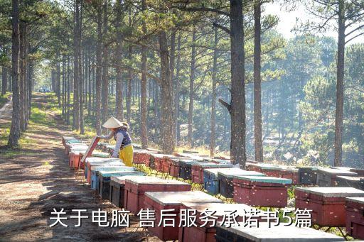 系统软件技术售后方案,软件技术方案模板