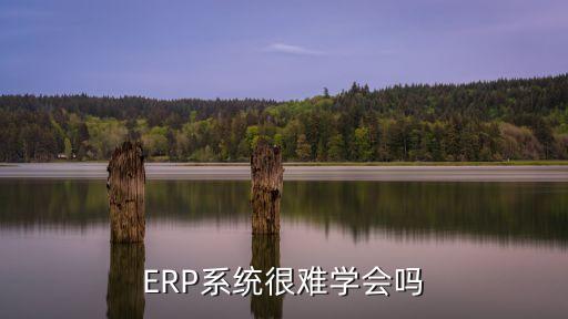 erp系统软件好操作吗,Erp系统软件