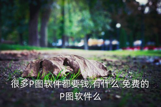 手机涂鸦绿色系统软件免费