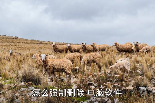 如何去除电脑上的系统软件,电脑如何去除广告弹窗