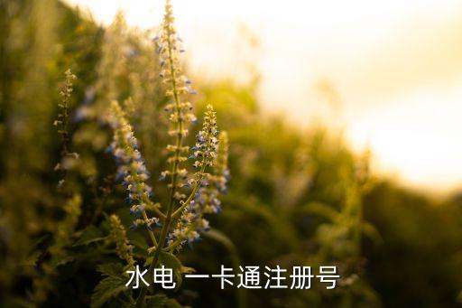 威胜水电一卡通系统软件,水电表一卡通系统软件