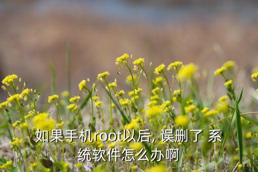 如果手机root以后, 误删了 系统软件怎么办啊