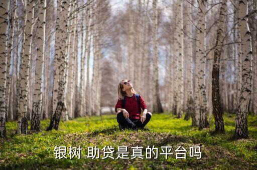 银树 助贷是真的平台吗
