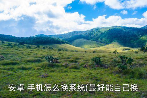 安卓 手机怎么换系统(最好能自己换